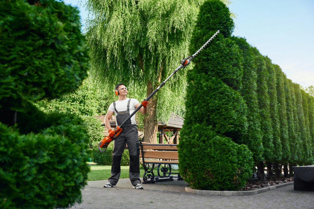 Tree Trimming Insurance