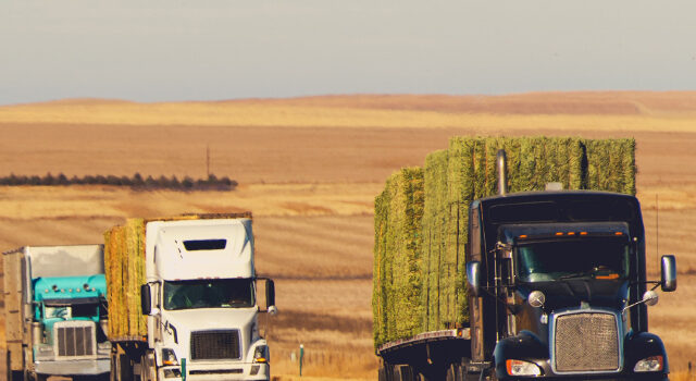 Long Haul Trucking