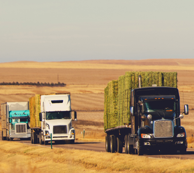 Long Haul Trucking